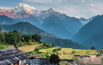 5 day mardi himal trek 08 naike nepal trek