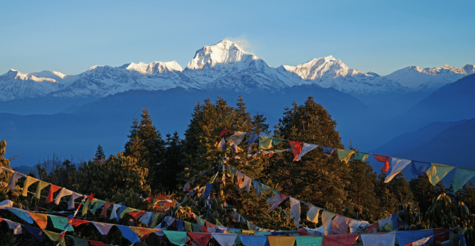 View of world's 7th highest Mt. Dhaulagiri as seen from Poon Hill (3,210M) - Ghorepani Poon Hill Trek [Naike Nepal Trek]