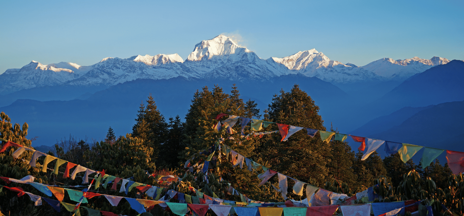 View of world's 7th highest Mt. Dhaulagiri as seen from Poon Hill (3,210M) - Ghorepani Poon Hill Trek [Naike Nepal Trek]